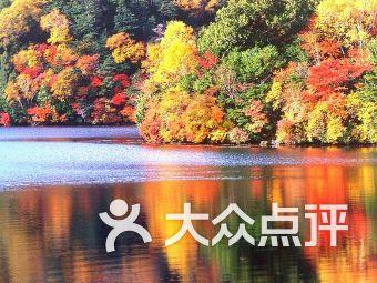 鬼泣5
