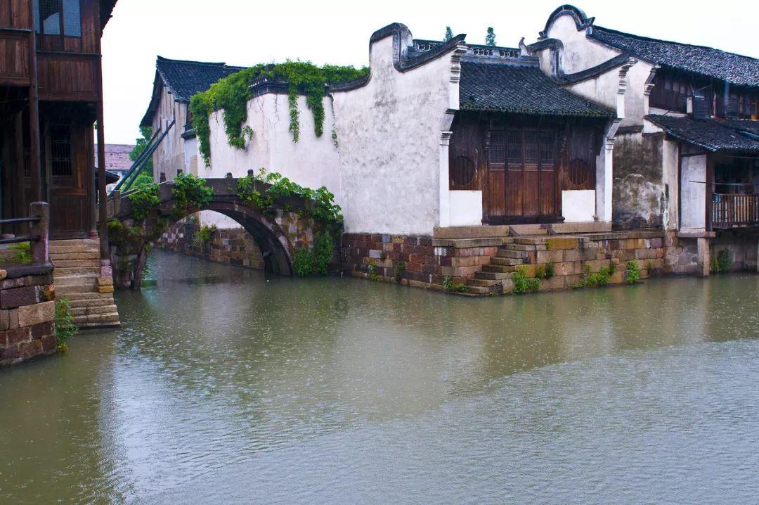 滚动的奶酪